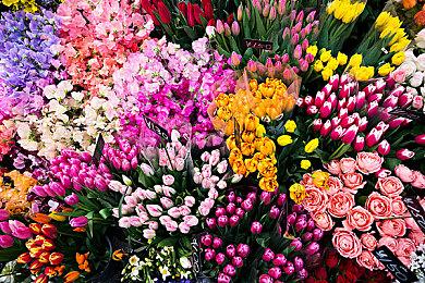 这下我们都有手机了 《暗黑破坏神：不朽》宣布将与《炉石传说》展开联动