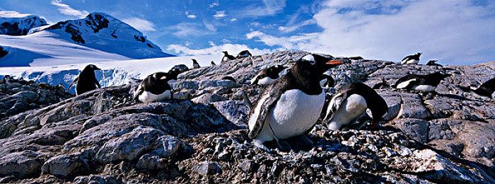 玩家母亲玩《文明3》破16395小时 真粉丝的爱！ 